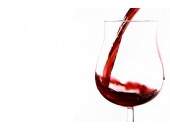 10 conseils de services des vins